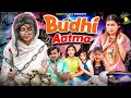 BUDHI ATMA Fancy Nancy