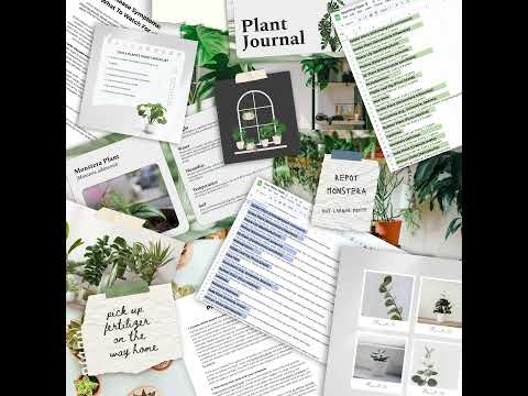 Considering plants are the new pets, they definitely deserve their own space on the Google Drive 🪴