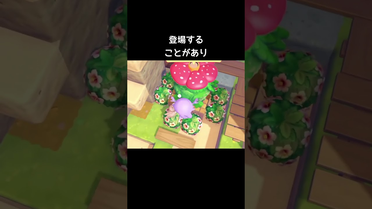 頭に花が咲いてるラッキー【ぽこあポケモン】#ラフレシア#生息地