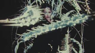 Bella Poarch - Ribcage
