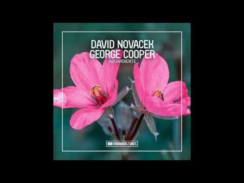 DAVID NOVACEK & GEORGE COOPER- Aguardiente (Original Mix)