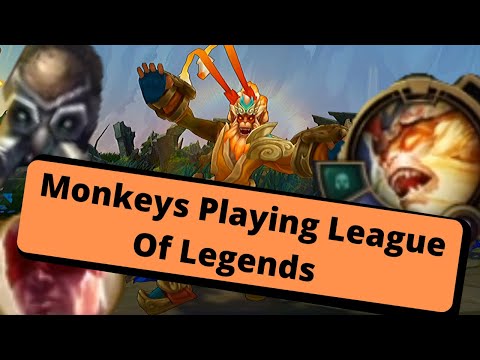 Apes Playing League Of Legends