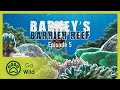 How To Survive In The Fish Eat Fish World Of The Barrier Reef Barneys Barrier Reef 5 20 Go Wild