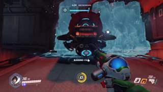Overwatch: Mei & Bastion tag team