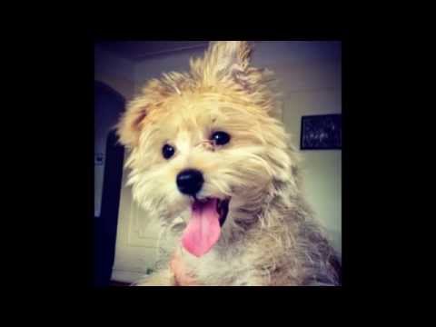 HAPPY BIRTHDAY BRADLEY