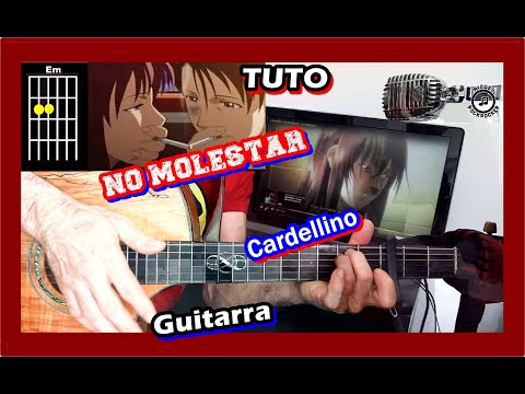 No Molestar - Cardellino