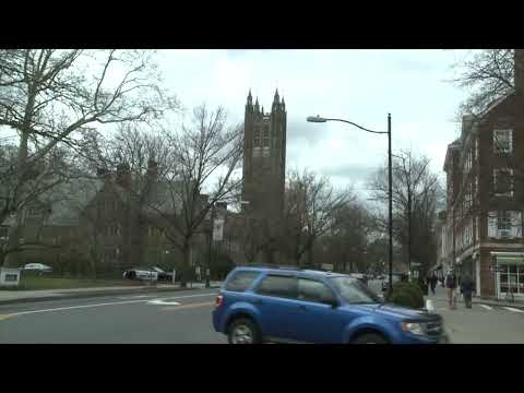 Princeton Summer Program