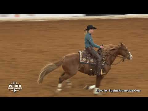 Shine Smarter ridden by Sarah L. Dawson  - 2018 Celebration of Champions (Open Hackamore, Prelims)
