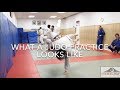 What A Judo Practice Looks Like