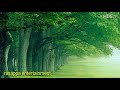 Thirutheril Varum Hd Audio Song