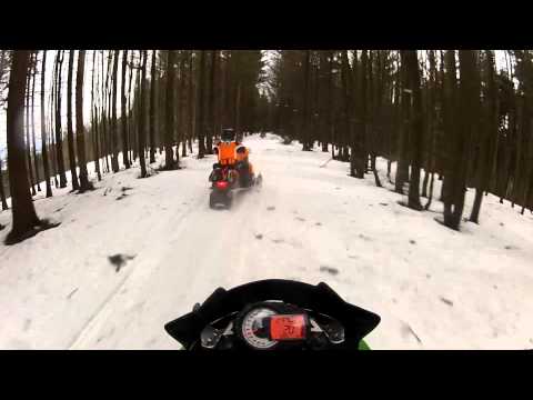 SWISSY 2015 ZWARDOŃ SKRÓT