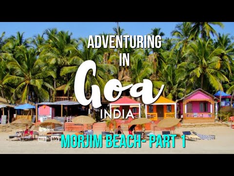Goa Adventures | Morjim Beach | Part 1