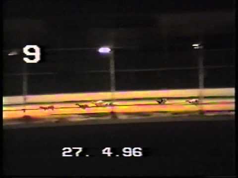 SCOTTISH DERBY 96...BURNPARK LORD