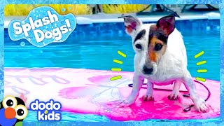 Miniature vidéo