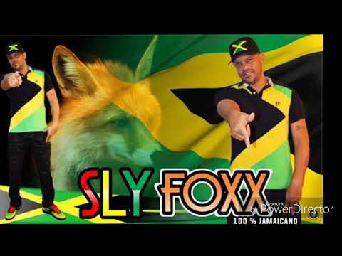 Melo de marcos vinicius -sly foxx