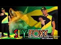 Melo De Marcos Vinicius Sly Foxx