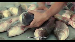 বাল্যবিয়ে বন্ধ করুন