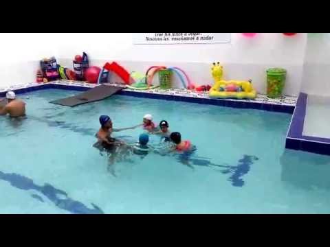 Swimming - Academia de Natación para Niños - Little Sharks