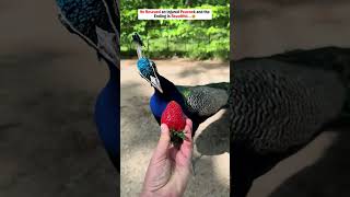 A Simple Rescue Turns Into an Unforgettable Moment...