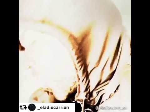 Eladio Carrion - Baby soy yo