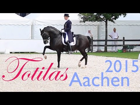 TOTILAS EM Aachen 2015  I Warm Up Ring and Grand Prix