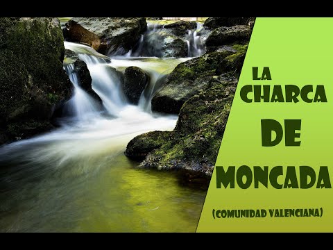 La charca de moncada/Comunidad Valenciana