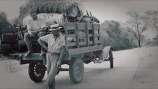 Kentucky Headhunters - Deep South Blues Again