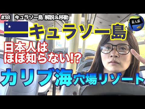 園芸 キュラソー島産トウワタ