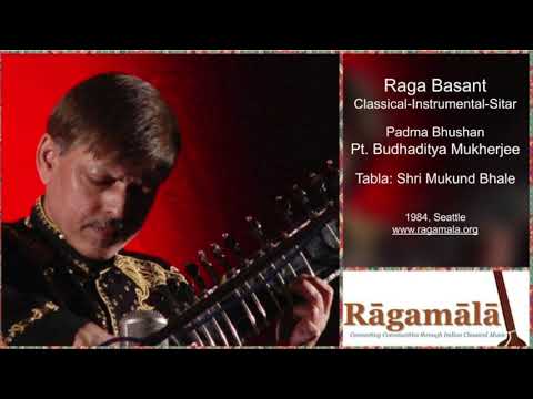 Raga Basant (Sitar)