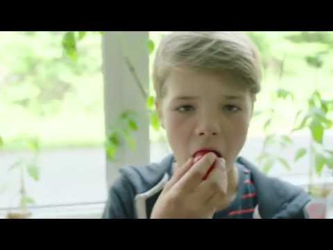 Skolefrukts Fra jord til bord-konsept