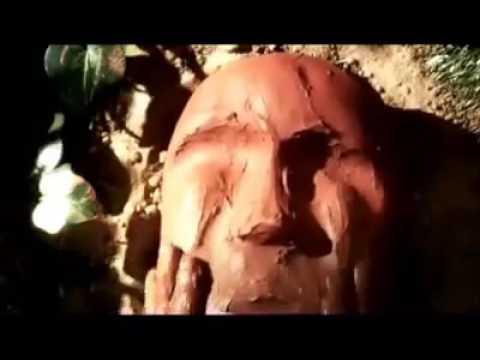 Plano Perfeito - Temis Handeri