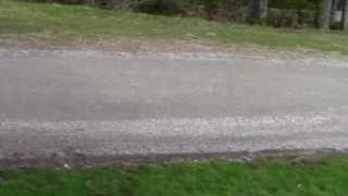 What is the best gravel for driveways and paths? Peninsula Landscape Supplies