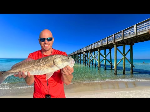 Fishing Florida's Bays and Piers Eating Everything We Catch! (feat. Zach Fowler)