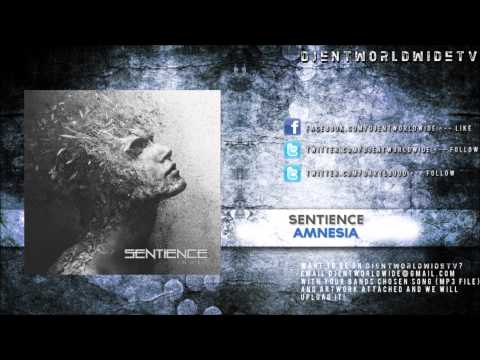 Sentience - Amnesia