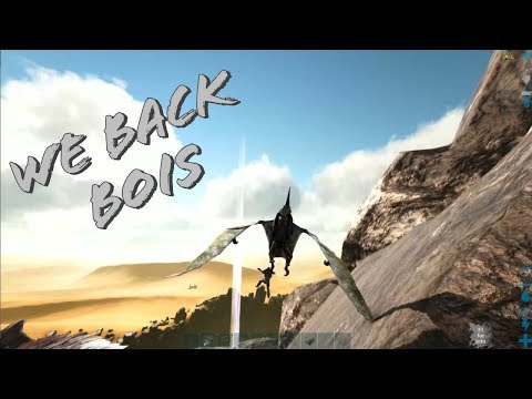WE BACK BOIS | MTS 4 MAN | Ark Survival Evolved