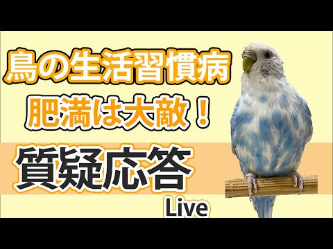 , title : '鳥の生活習慣病 肥満は大敵！【質疑応答ライブ】'