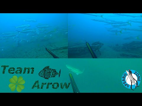 Pesca Sub Dubai: una giornata FORTUNATA...