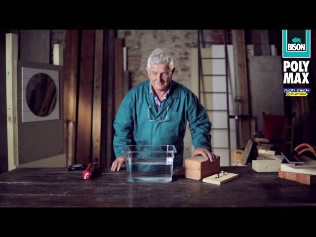 سيليكون Bison يلصق أي شي في أي شي في أي مكان