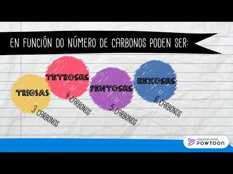 Os monosacáridos: estrutura e funcións biolóxicas