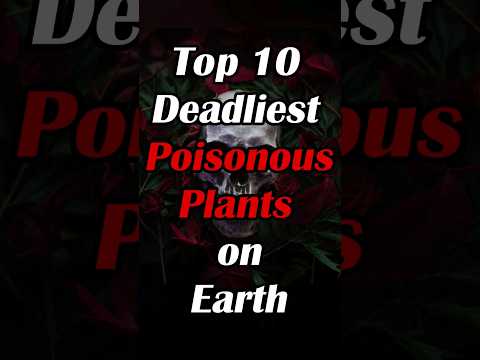 Top 10 Poisonous Plants on Earth | #shorts #viral