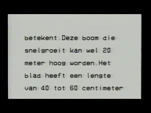 Almere-Haven 1982-1983