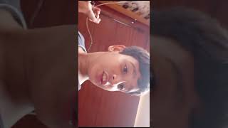 Cat vs lizard wild   buster pro