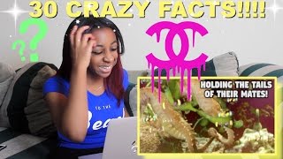 Coco Chanel was a NAZI (30 Facts You Won't Believe!) Reaction!!!