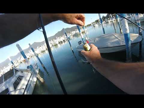 .....e poi li abbiamo cercati anche sul lago d'Iseo - BASS a spinning - 18-09-2022