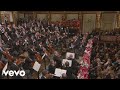 Zubin Mehta, Wiener Philharmoniker - Wein, Weib und Gesang, Walzer, Op. 333