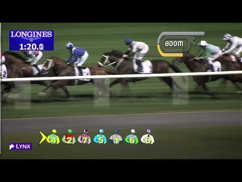 Race 2 - Al Naboodah Commercial Group Trophy