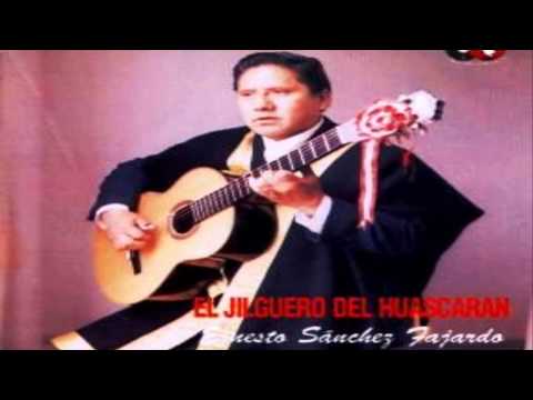 Carrito De Gobierno - Jilguero Del Huascaran