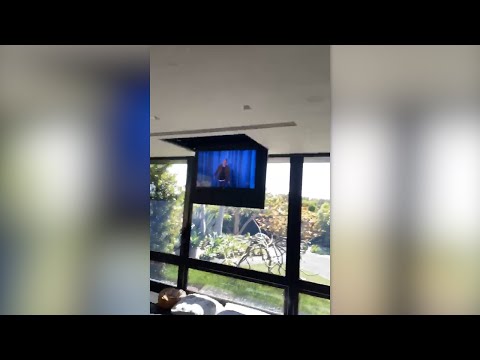 Ellen's Home Quarantine: A Meta Moment