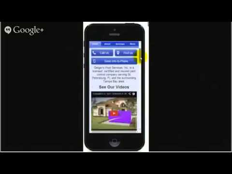 St Petersburg website development Web Design St Petersburg  727-954-5300