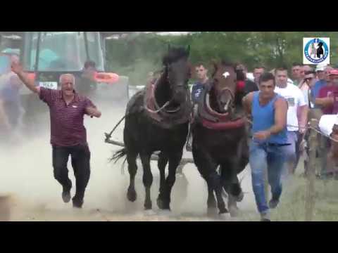 -Mešići u Bijeljini potvrdili svoju dominaciju u lakoj kategoriji -2018